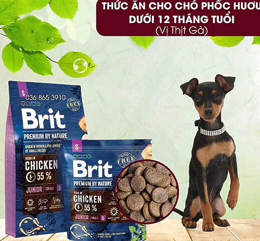 Chọn thương hiệu thức ăn cho chó Phốc Hươu uy tín: Đảm bảo chất lượng và dinh dưỡng tối ưu. Chọn thương hiệu thức ăn cho chó Phốc Hươu uy tín