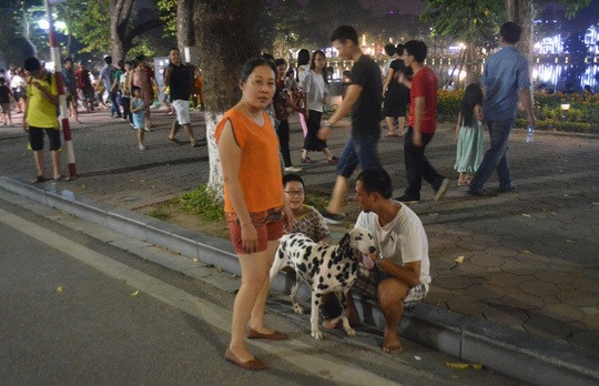 Chủ chó cần tuân thủ quy định rọ mõm khi dắt chó đi dạo tại các khu vực công cộng để đảm bảo an toàn cho mọi người và duy trì không gian văn minh.