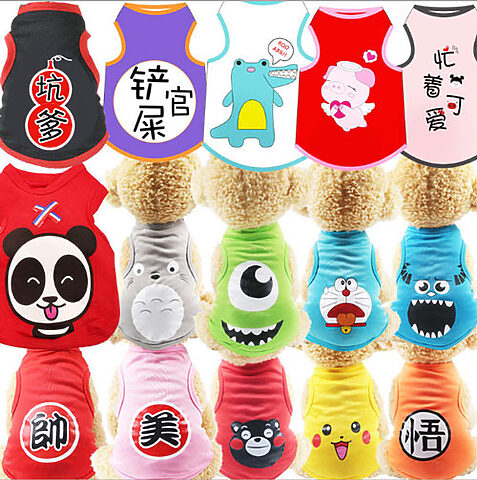 Chú chó con dễ thương trong bộ quần áo họa tiết, hình ảnh thường thấy khi tìm mua thú cưng tại shop bán chó mèo giá rẻ.