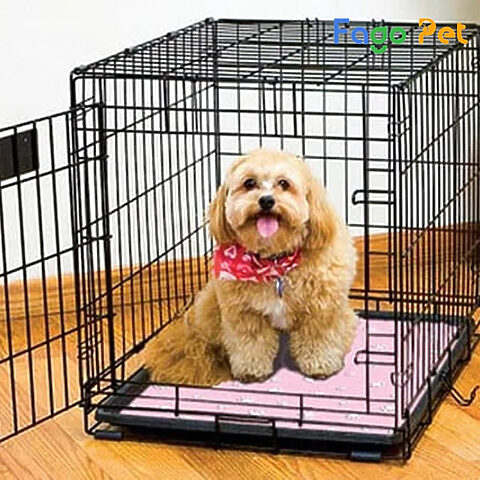 Chú chó cưng thư giãn trong ngôi nhà được trang trí đơn giản, phù hợp với không gian tổng thể.