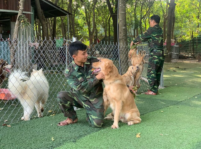 Chú chó đang thể hiện khả năng nhảy qua chướng ngại vật trong quá trình huấn luyện chuyên nghiệp tại trung tâm huấn luyện chó TPHCM