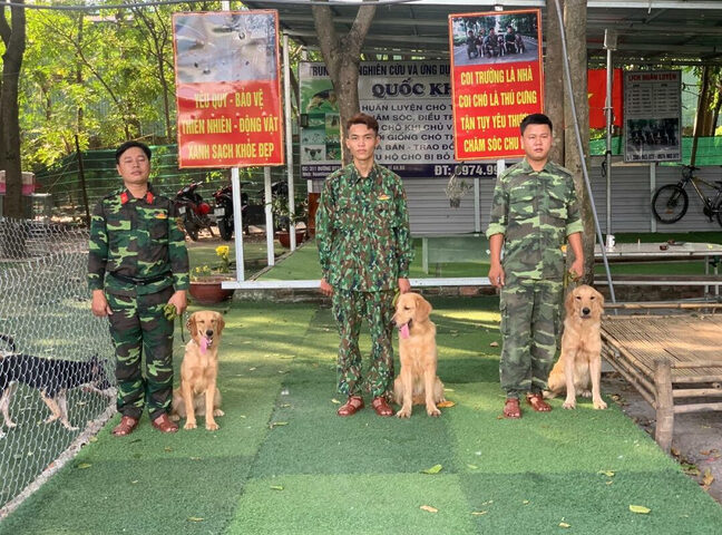Chú chó thư giãn trong khuôn viên xanh mát của trung tâm huấn luyện chó TPHCM, cho thấy môi trường chăm sóc chất lượng