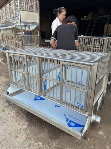 Chuồng chó inox có máng thải và vách ngăn, sạch sẽ