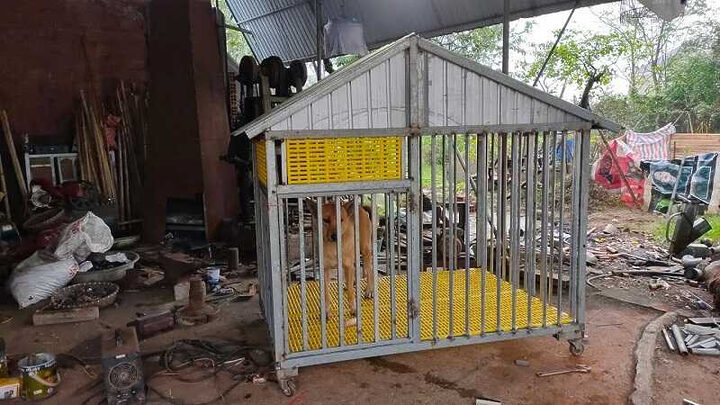 Chuồng chó làm từ sắt hộp rất chắc chắn, mang lại sự an toàn tối đa cho thú cưng