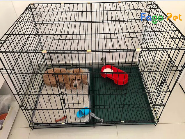 Chuồng chó mèo 90x60x75cm sơn tĩnh điện màu đen dành cho pet kích thước vừa và lớn
