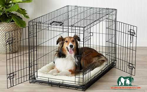 Chuồng chó sắt hộp lắp ghép, tiện lợi và chắc chắn