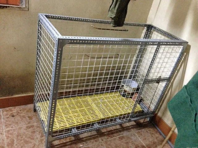 Chuồng chó sắt V lỗ kích thước khá nhỏ gọn, phù hợp với không gian sống hiện đại
