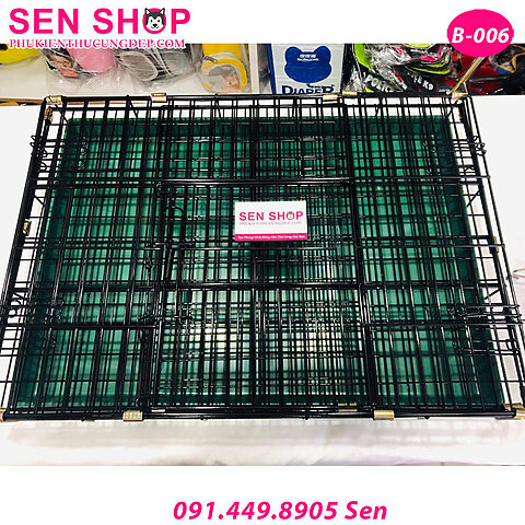 Chuồng chó sơn tĩnh điện với cửa mở rộng