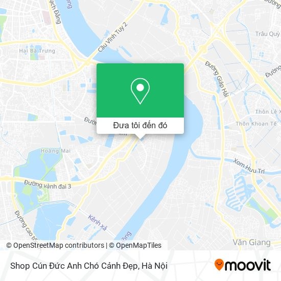 Cửa hàng chó cảnh đẹp ở Hà Nội, địa chỉ uy tín để tìm mua chó cảnh giá rẻ