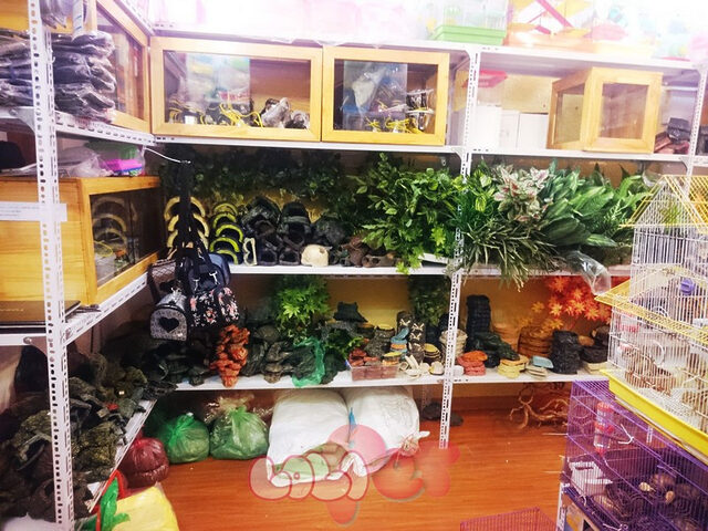 Cửa hàng thú cưng với nhiều kệ hàng chứa đầy đủ phụ kiện cho thú cưng, bao gồm các loại vòng cổ