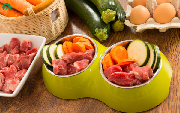 Cung cấp chế độ dinh dưỡng phù hợp giúp chó mau chóng hồi phục sức khỏe