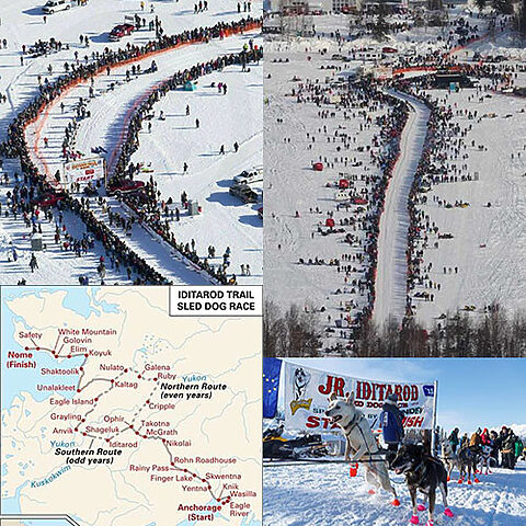 Cuộc đua chó kéo xe Iditarod từ Anchorage đến Nome, Alaska, qua hơn 1.000 dặm địa hình khắc nghiệt.