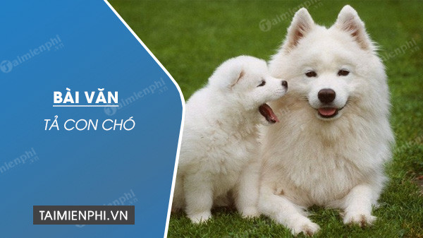 dàn ý tả chó lớp 5