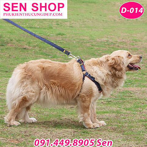 Dây dắt chó dạng yếm Jean màu đỏ