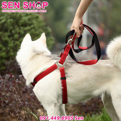 Hướng Dẫn Chi Tiết Cách Làm Dây Yếm Dắt Chó Độc Đáo Tại Nhà