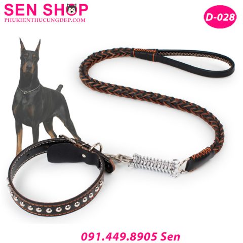 Hình ảnh dây xích chó: Hướng dẫn chọn loại phù hợp