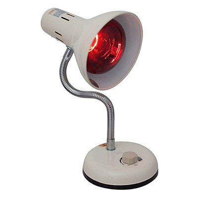 Đèn Sưởi Cho Chó Mèo: Hướng Dẫn Chi Tiết Để Giữ Ấm An Toàn