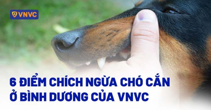 Địa điểm chích ngừa chó cắn ở Bình Dương chuyên nghiệp và an toàn