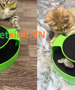 Đồ chơi chuột xoay cho mèo giúp mèo giải trí