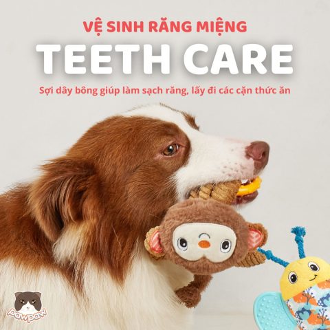 Đồ Vệ Sinh Cho Chó: Hướng Dẫn Toàn Diện Từ A Đến Z