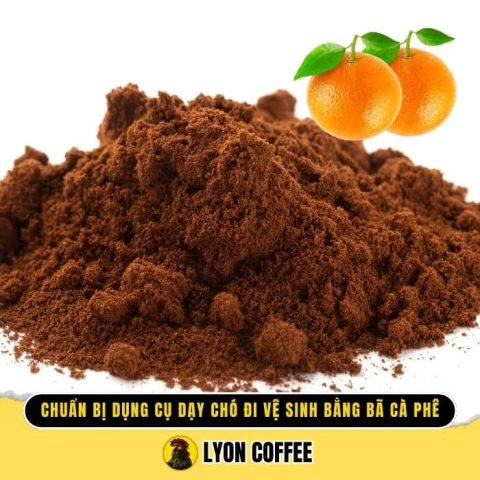 Dụng cụ huấn luyện chó đi vệ sinh bằng bã cà phê
