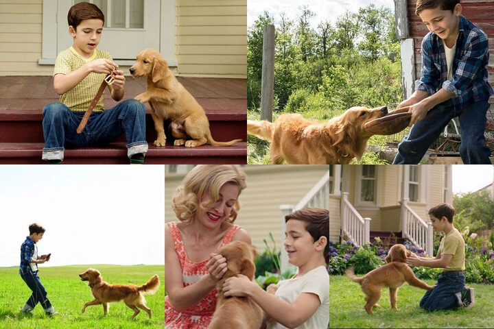 Ethan hạnh phúc chơi đùa cùng chú chó Bailey tinh nghịch