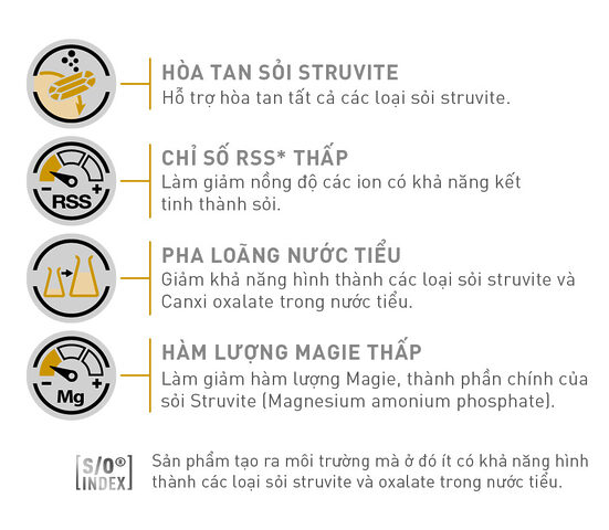 Thức Ăn Cho Chó Bị Sỏi Thận: Hướng Dẫn Chế Độ Ăn Uống Tối Ưu