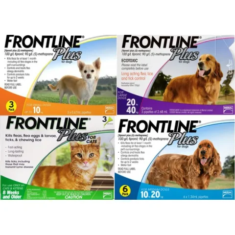 Thuốc Trị Ve Rận Nhỏ Gáy Frontline Plus Cho Chó: Đánh Giá & Hướng Dẫn