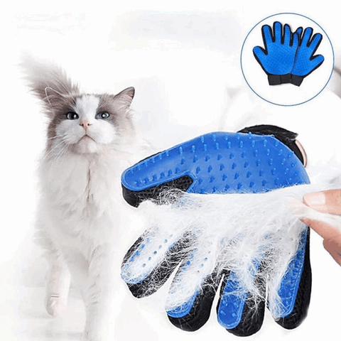 Găng tay chải lông chó: Bí quyết giữ bộ lông mượt mà, khỏe mạnh