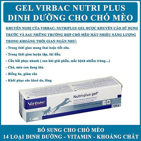 Gel dinh dưỡng Virbac Nutriplus Gel, sản phẩm hỗ trợ sức khỏe chó mang thai
