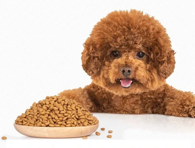 Liều lượng hạt ANF phù hợp với trọng lượng chó Poodle theo từng giai đoạn