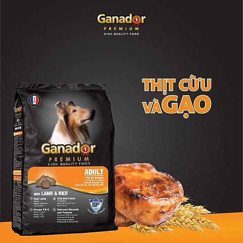 Hạt Ganador Adult vị cừu và gạo, đánh giá giá hạt thức ăn cho chó của thương hiệu này