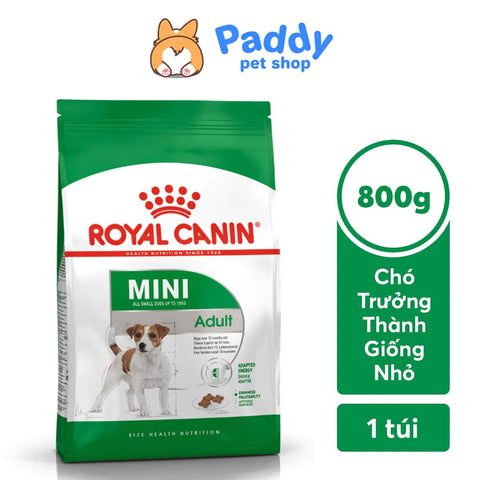 Royal Canin Mini Adult cung cấp năng lượng và dưỡng chất cho chó trưởng thành giống nhỏ