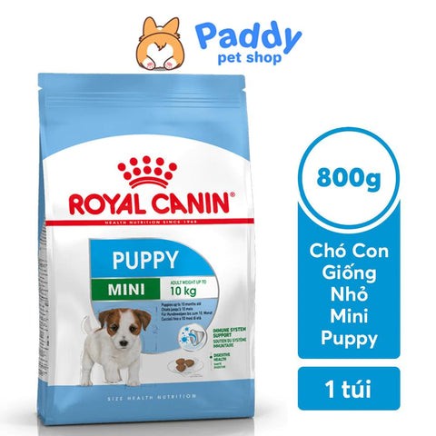 Thức Ăn Chó Royal Canin: Hướng Dẫn Chi Tiết Từ A-Z Về Dinh Dưỡng Chuyên Biệt