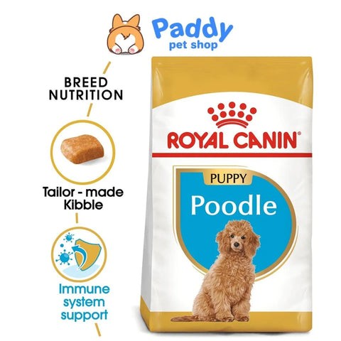 Thức Ăn Chó Royal Canin: Hướng Dẫn Chi Tiết Từ A-Z Về Dinh Dưỡng Chuyên Biệt