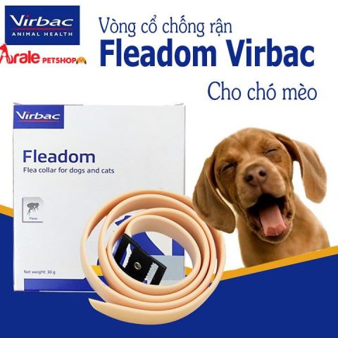 Vòng Trị Ve Cho Chó: Hướng Dẫn Toàn Diện Từ A Đến Z