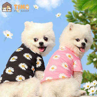 Hình ảnh chó mèo giá rẻ sẽ giúp bạn tiết kiệm được chi phí nhưng vẫn đảm bảo được chất lượng ảnh đẹp và đáng yêu. Không cần phải bỏ ra quá nhiều tiền, bạn vẫn có thể sở hữu những bức ảnh chó mèo thật đáng yêu để trang trí cho màn hình của mình. Đừng bỏ lỡ cơ hội truy cập vào bộ sưu tập hình ảnh chó mèo giá rẻ của chúng tôi ngay hôm nay!