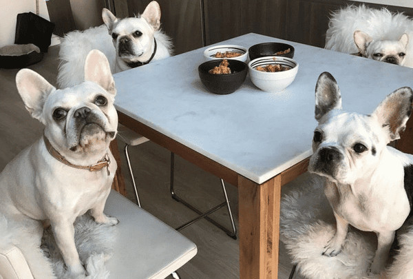 Hình ảnh thực phẩm tươi sống đa dạng, biểu thị chế độ ăn BARF cho chó Bully