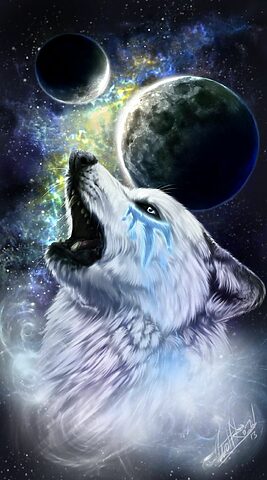 Hình nền chó sói Husky 3D