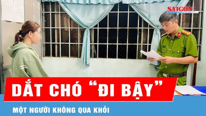 Chó Đi Vệ Sinh Bừa Bãi: Nguyên Nhân Và Giải Pháp Toàn Diện