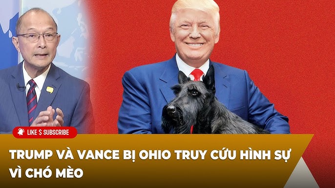 Chú Chó Nhìn Thấy Gì: Khám Phá Thế Giới Qua Mắt Cún Cưng