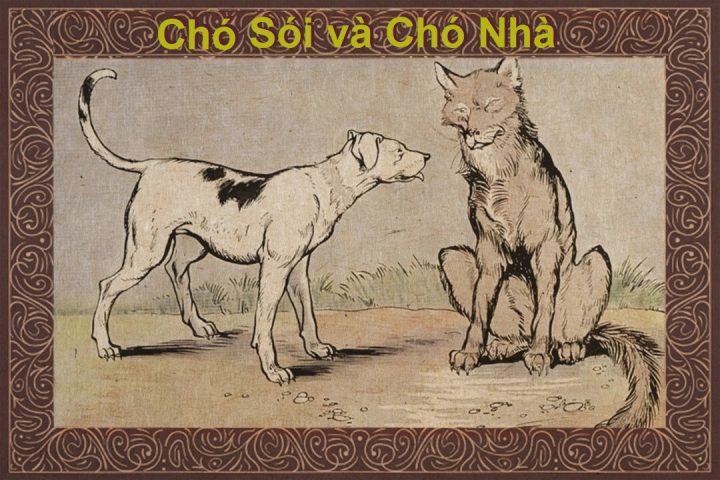 Chó nhà và chó sói: Khác biệt, bài học và sự lựa chọn