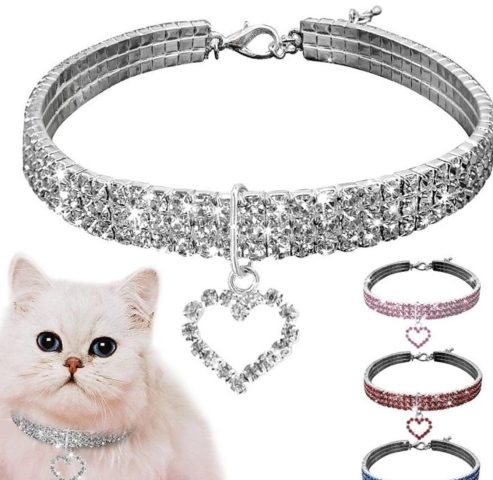 Shop Phụ Kiện Chó Mèo: Địa Chỉ Tin Cậy Cho Thú Cưng