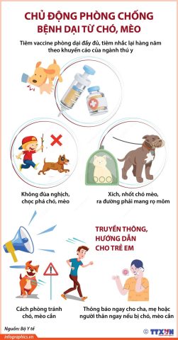 Chó mèo cào có bị dại không: Giải đáp chi tiết nguy cơ và phòng tránh