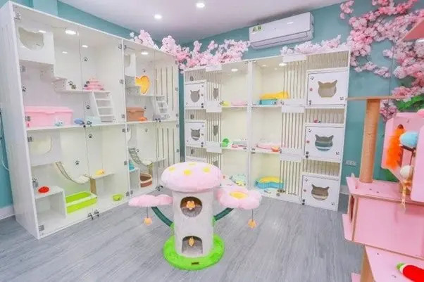 J &amp; Pet Shop Spa, khách sạn chó mèo Hà Nội với đội ngũ chuyên gia và dịch vụ đa dạng