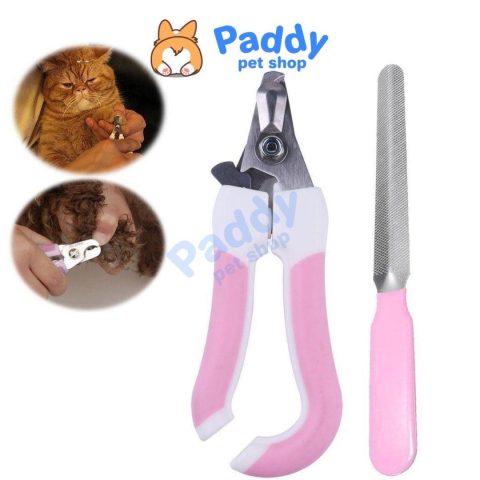 Kềm Cắt Móng Chó Mèo: Hướng Dẫn Chọn Và Sử Dụng Chuẩn Chuyên Gia