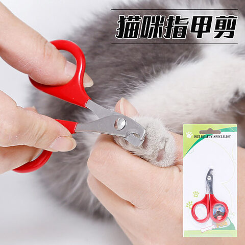 Kìm Cắt Móng Chân Chó: Hướng Dẫn Chọn Và Sử Dụng Đúng Cách