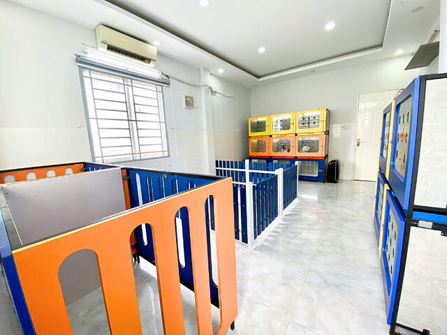 Khách sạn giữ chó giá rẻ TPHCM với không gian vui chơi thoáng đãng