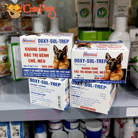 Kháng Sinh Chó Cao Cấp: Lựa Chọn Và Sử Dụng Hiệu Quả