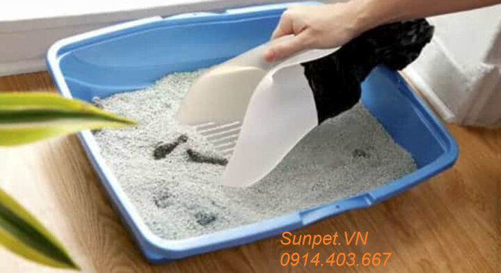 Khay vệ sinh cho chó dạng chậu với cát, nêu bật ưu nhược điểm khi nên mua khay vệ sinh cho chó loại nào dùng cát.